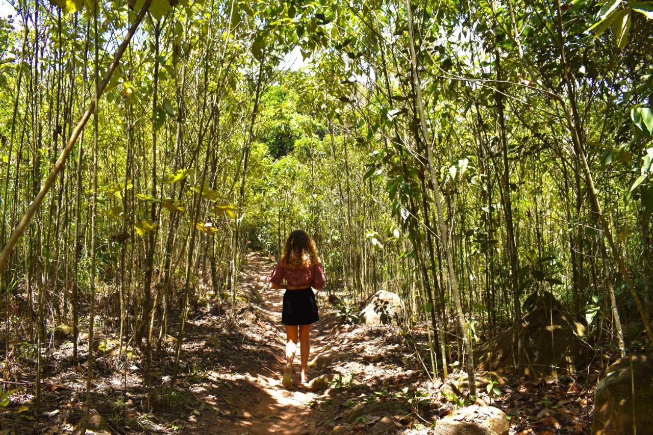 Bosque Guardian Lodge Tarapoto Eksteriør billede