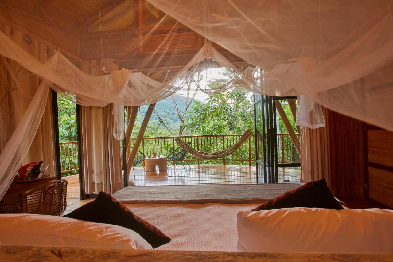 Bosque Guardian Lodge Tarapoto Eksteriør billede