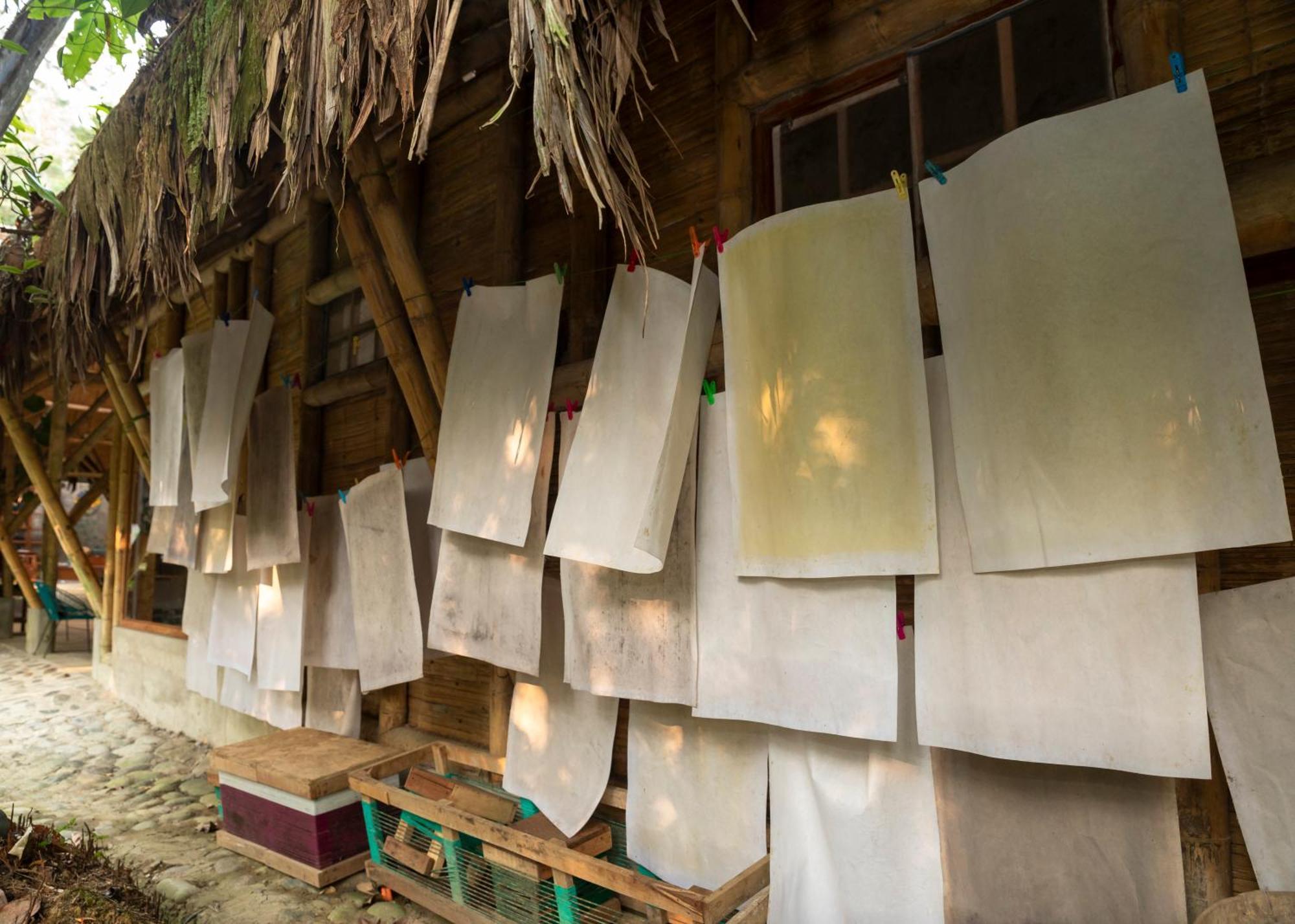 Bosque Guardian Lodge Tarapoto Eksteriør billede