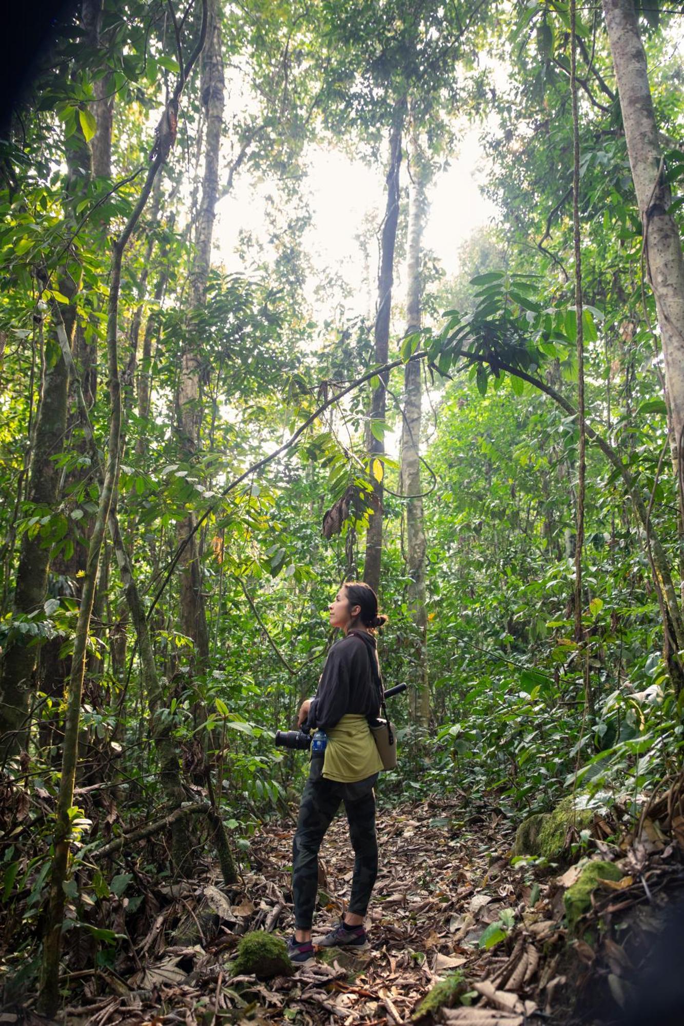 Bosque Guardian Lodge Tarapoto Eksteriør billede