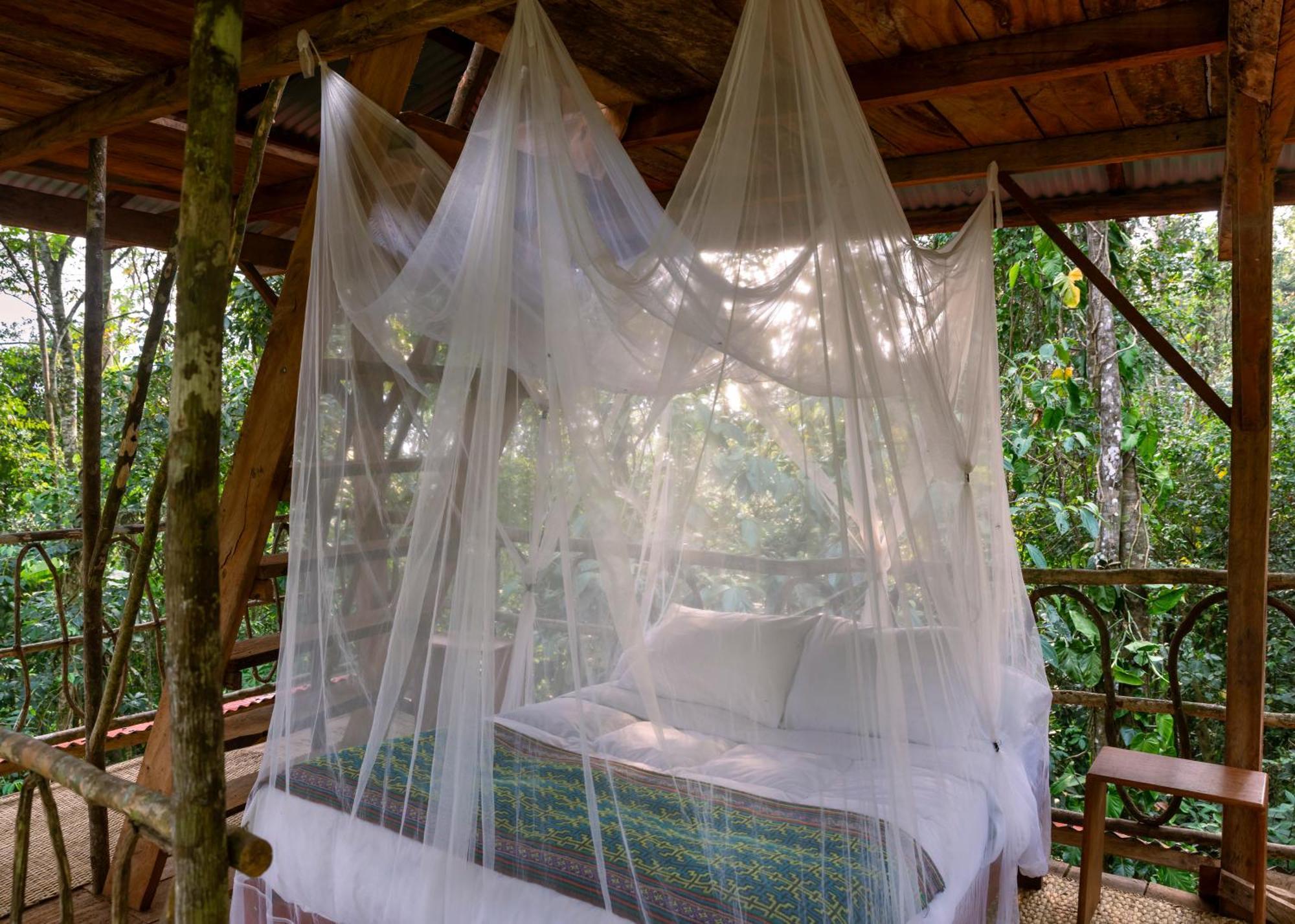 Bosque Guardian Lodge Tarapoto Eksteriør billede