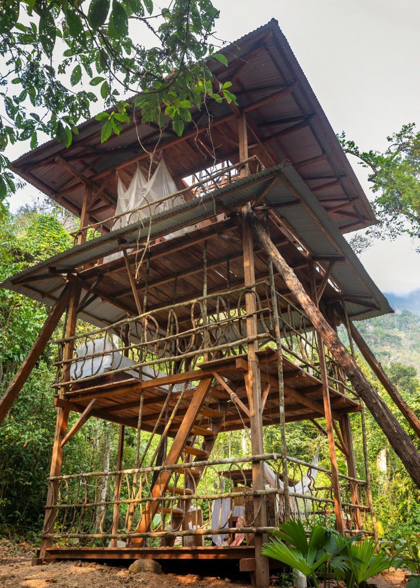 Bosque Guardian Lodge Tarapoto Eksteriør billede