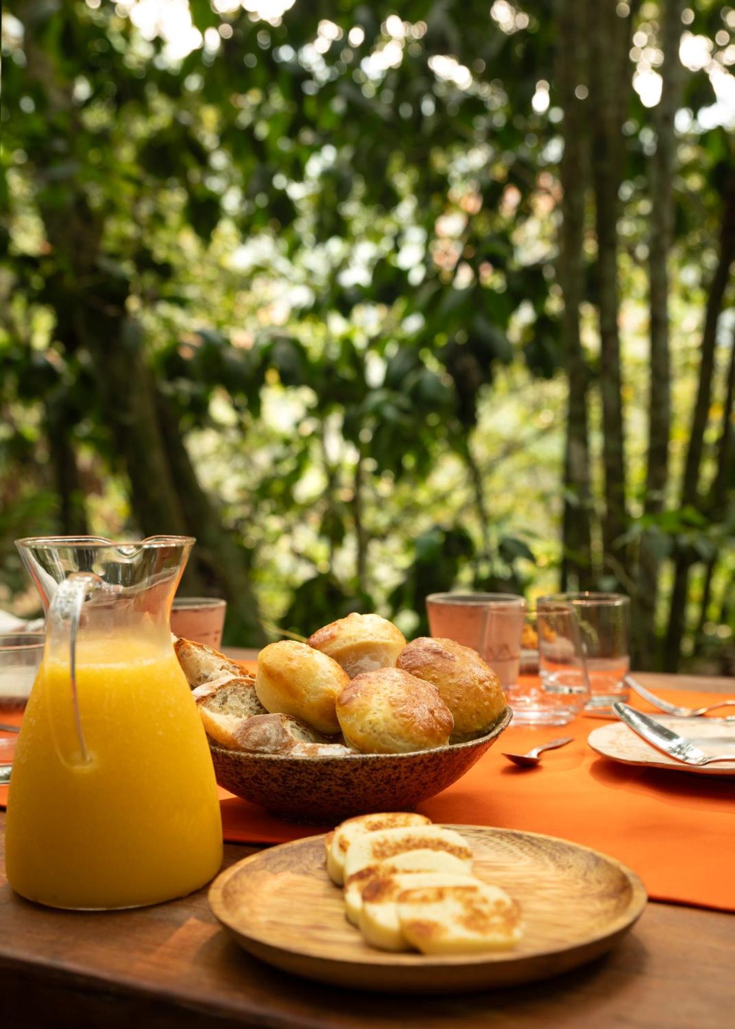 Bosque Guardian Lodge Tarapoto Eksteriør billede