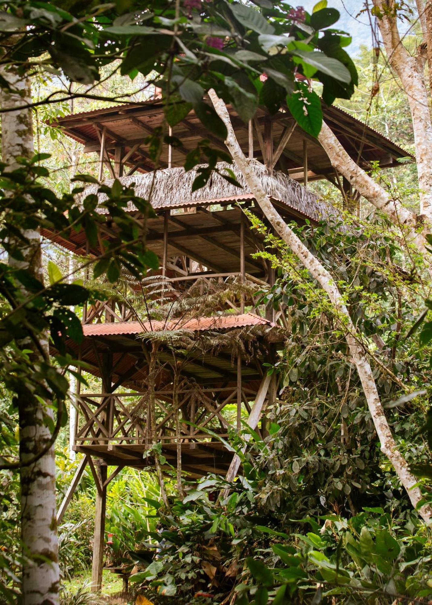 Bosque Guardian Lodge Tarapoto Eksteriør billede