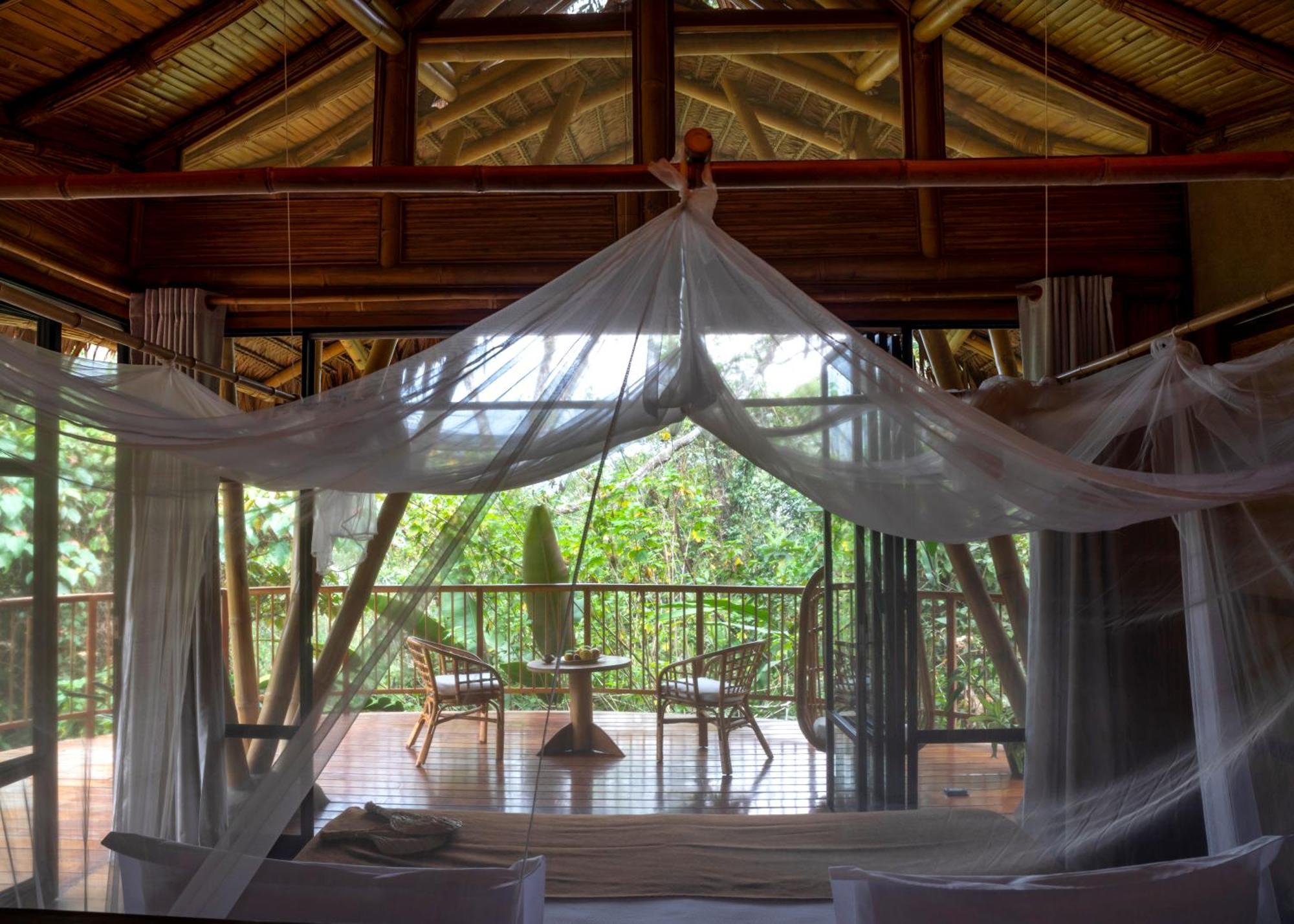 Bosque Guardian Lodge Tarapoto Eksteriør billede